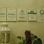 Отель Giglio 3*